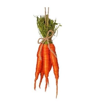 10.5" Sisal Carrot Bunch X5