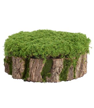 Moss Stump Green