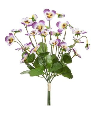 10.5 Inch Pansy Bundle x6