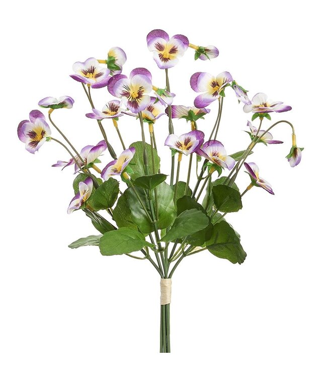 10.5 Inch Pansy Bundle