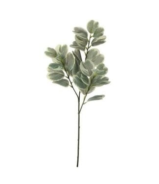 28” Garden Euonymus Spray