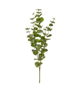 California Eucalyptus Branch 39”