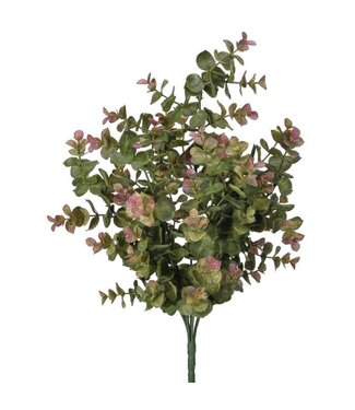 Varigated Eucalyptus Bush 15.5”
