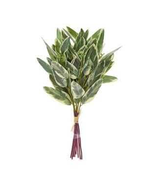 15” Soft Touch Var Eucalyptus Bundle X8