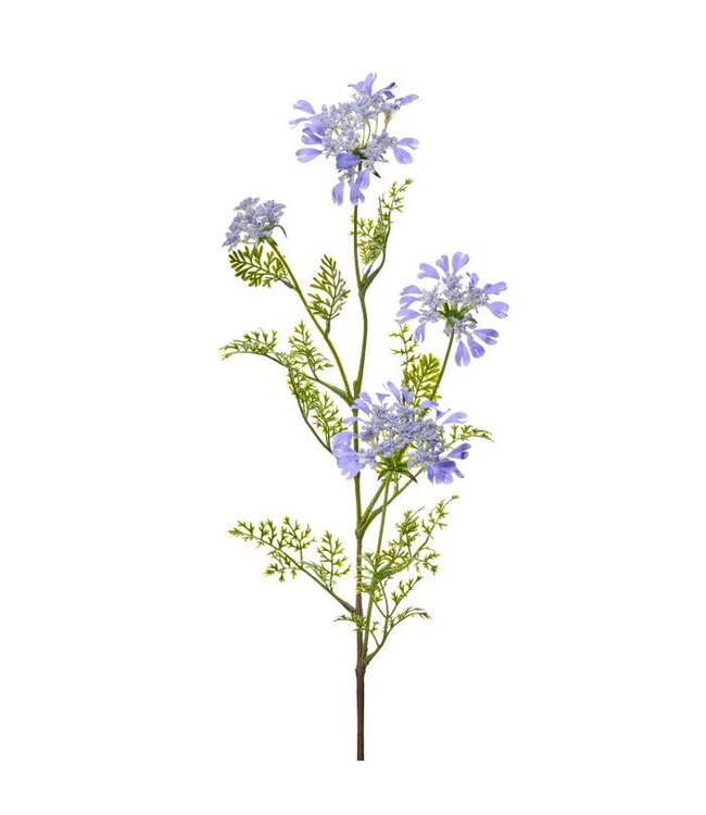 Field Yarrow Stem X 4 38”