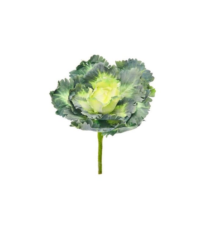 Ruffle Kale Pick 7”D