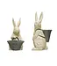 Resin Bunny with  Basket