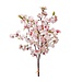 43" Cherry Blossom Bundle