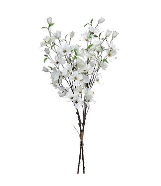 49" Southern Dogwood Bundle