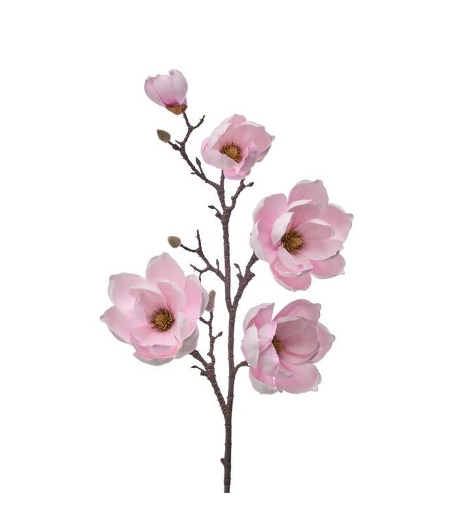 40" Foam Saucer Magnolia Branch