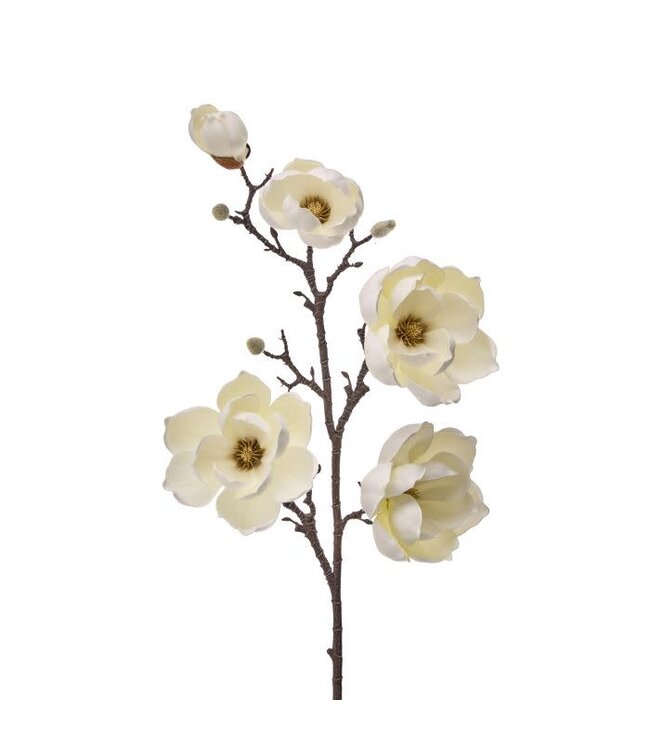 40" Foam Saucer Magnolia Branch