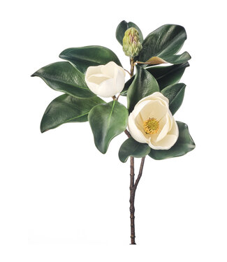 29" Veranda Magnolia