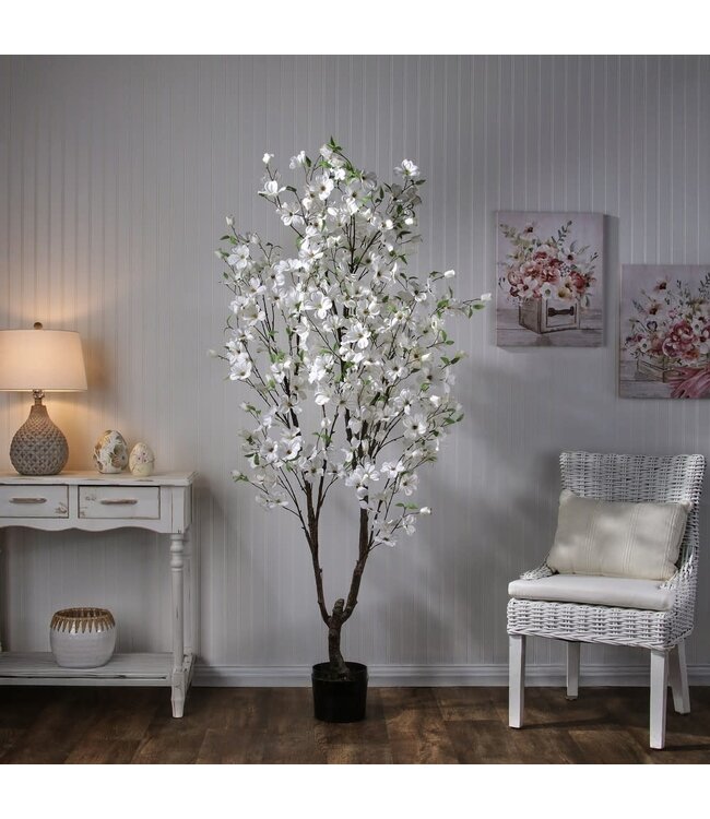 Southern Dogwood Tree