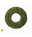 Spring UV Treated Boxwood Wreath 28"