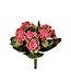 Kalanchoe Plant 9”
