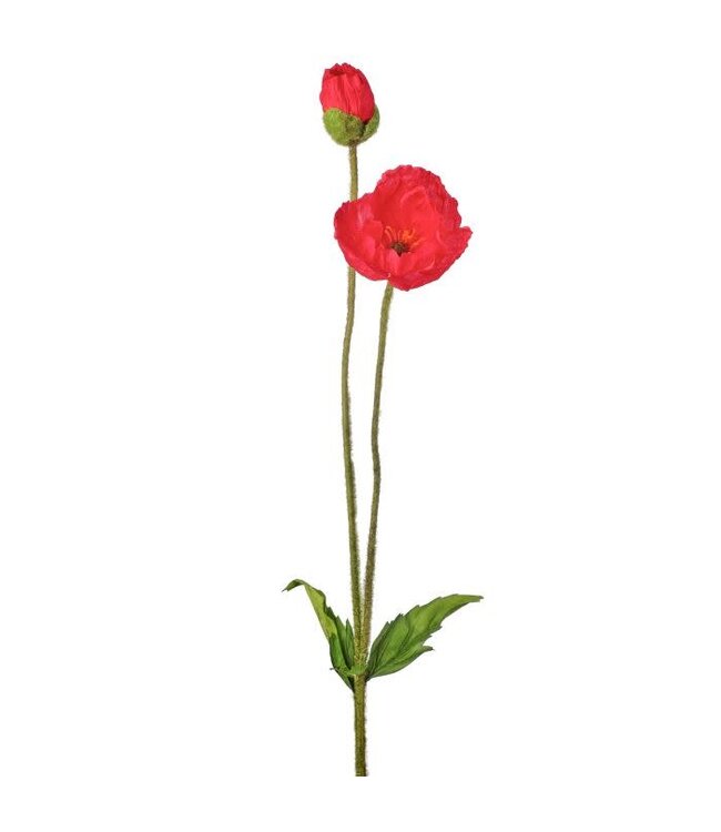 Summer Poppy + Bud 29”