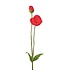 Summer Poppy + Bud 29”