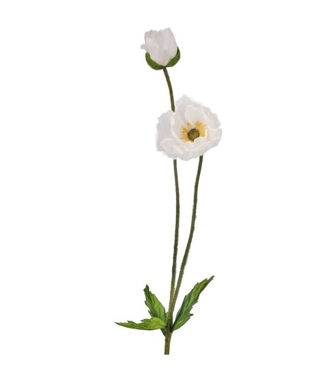 Summer Poppy + Bud 29”