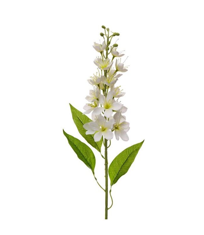Honey Blossom Stalk 32”