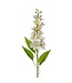 Honey Blossom Stalk 32”