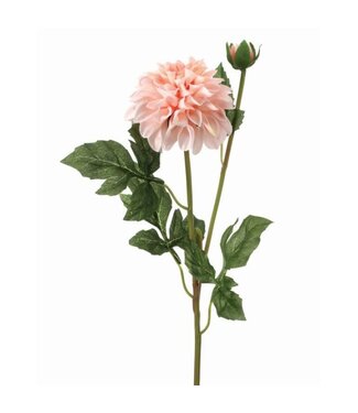 24" Garden Dahlia Spray+Bud