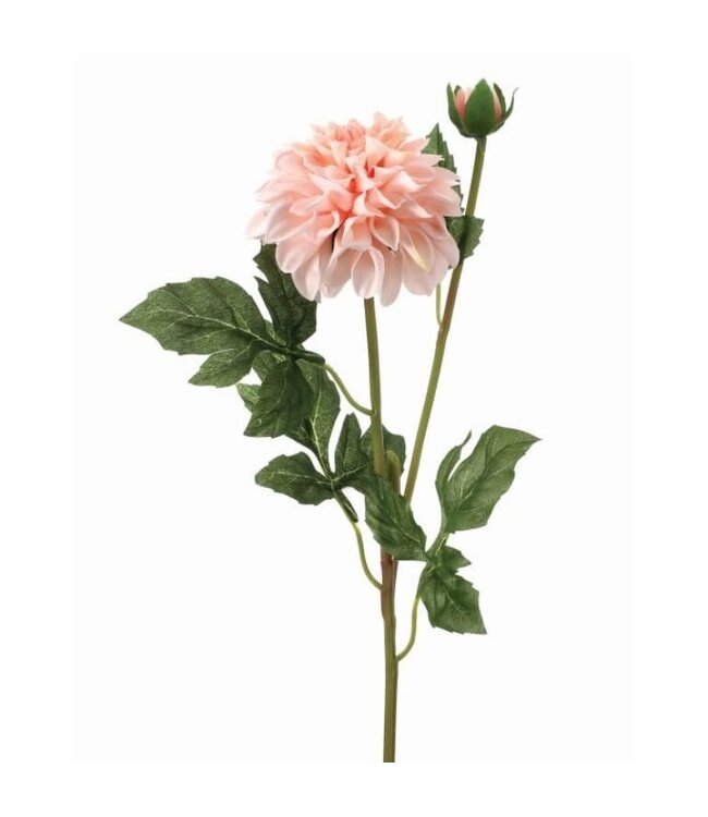 24" Garden Dahlia Spray+Bud