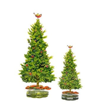 Engleman Spruce - Sold Individually