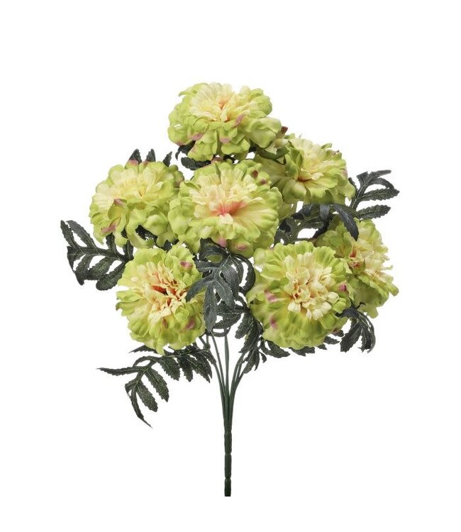 13.75" Marigold Bush