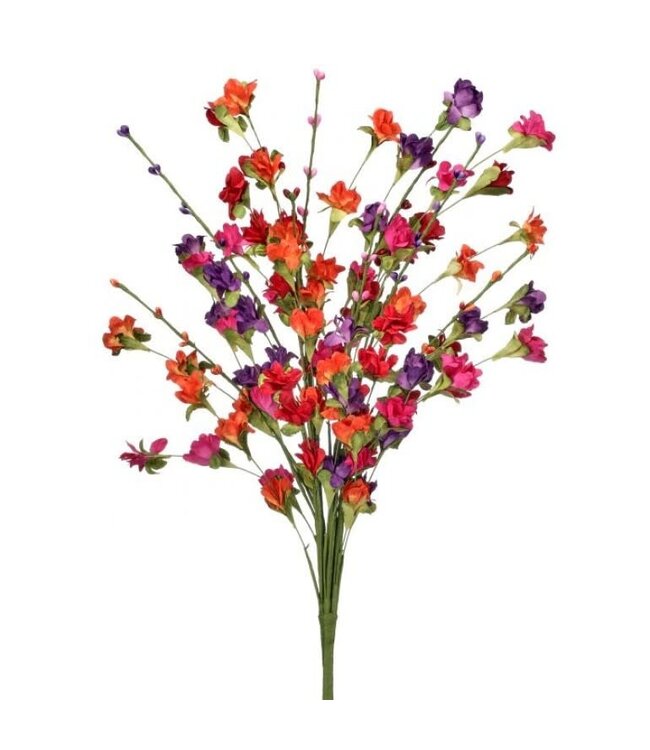23" Wild Summer Blossom Bundle