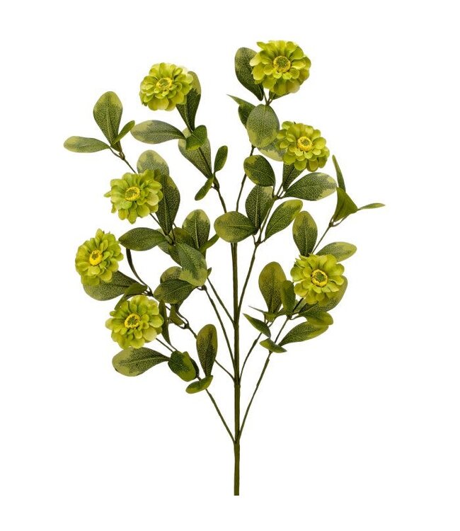 34" Button Zinnia Spray