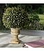 Potted Plastic Flocked Sage Ball in Urn