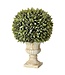 Potted Plastic Flocked Sage Ball in Urn