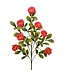 34" Button Zinnia Spray