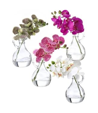 9" Phaleanopsis in Glass with Handle - Sold Individually