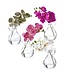 9" Phaleanopsis in Glass with Handle - Sold Individually
