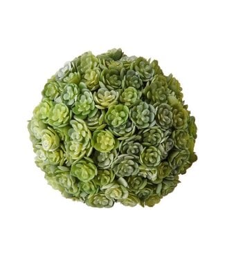 4" Plastic Chick Succulent Orb