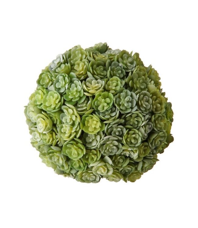4" Plastic Chick Succulent Orb