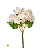 17" UV Summer Reiger Begonia Plant