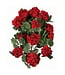 22" Hanging Summer Geranium Plant