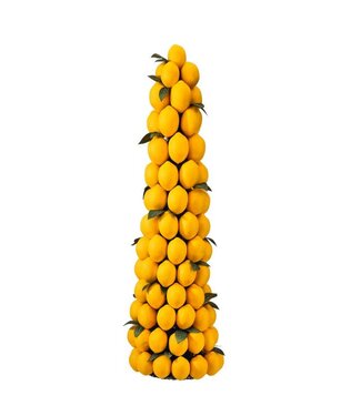 Lemon Topiary Cone Tree