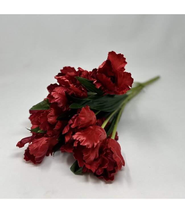 21 IN Tulip Bush X 12