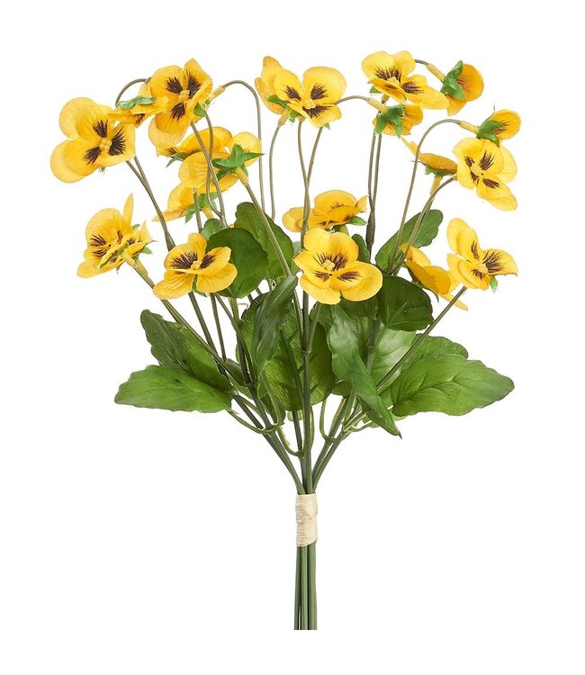 10.5 Inch Pansy Bundle