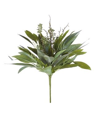 18" Willow Eucalyptus Bush