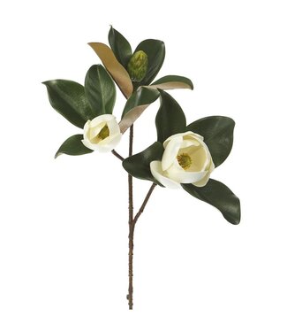 28" Magnolia Spray White
