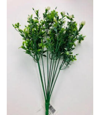 PLS Mini Bud Bush X9 FS Green 12DZ