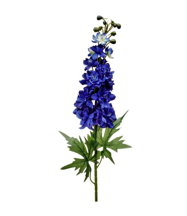 31.5" Blooms Delphinium