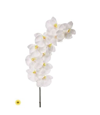 National Touch Phaleanopsis Spray 43”