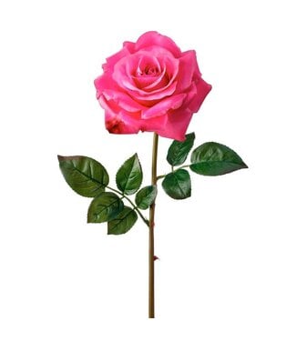 Just Cut Open Garden Rose 27”