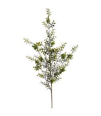 48 Inch Boxwood Spray Green