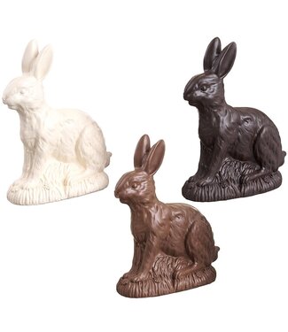 9 Inch Chocolate Bunny - Sold Individually